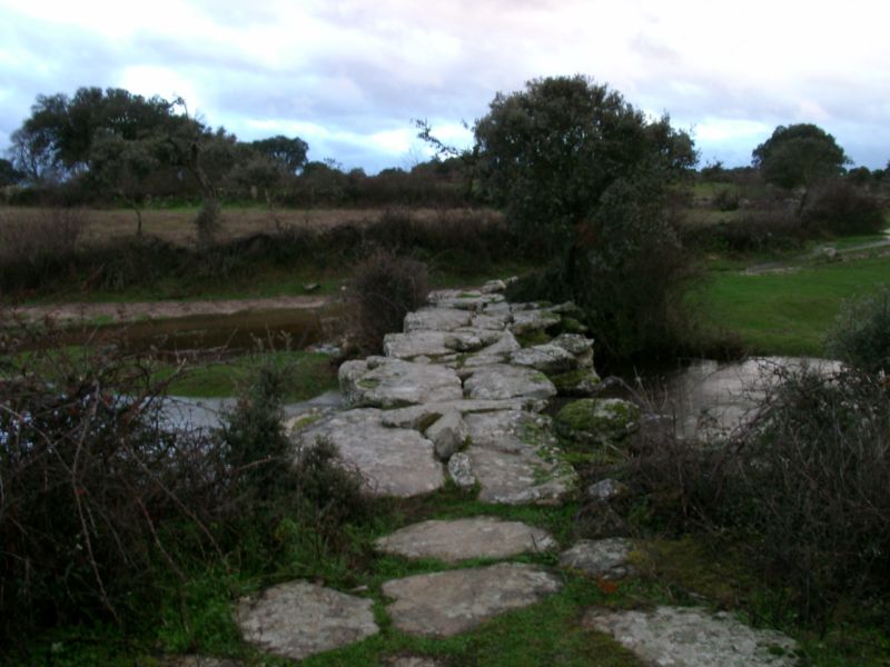 puente camino